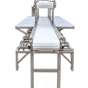 PRZENOŚNIK TAŚMOWY